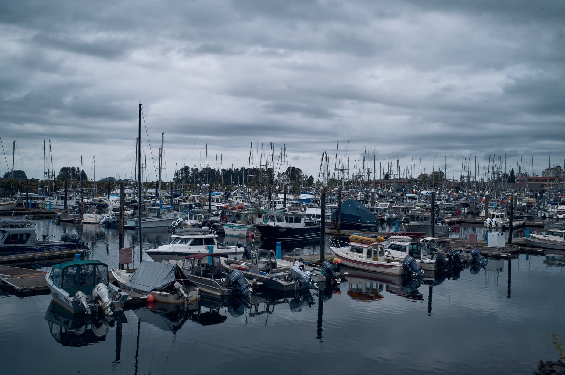 Alaska Adventure photo 8